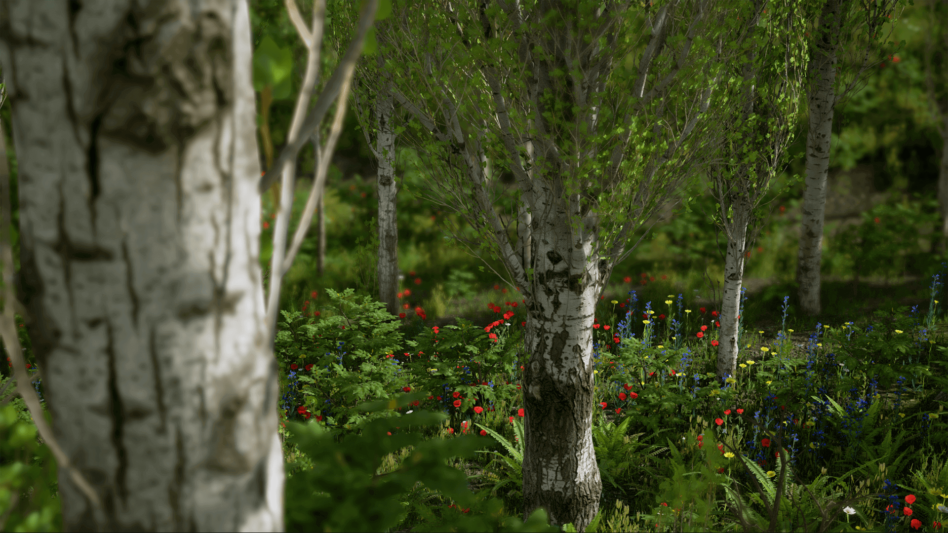 جنگل صنوبر اسکن شده برای آنریل انجین - 17