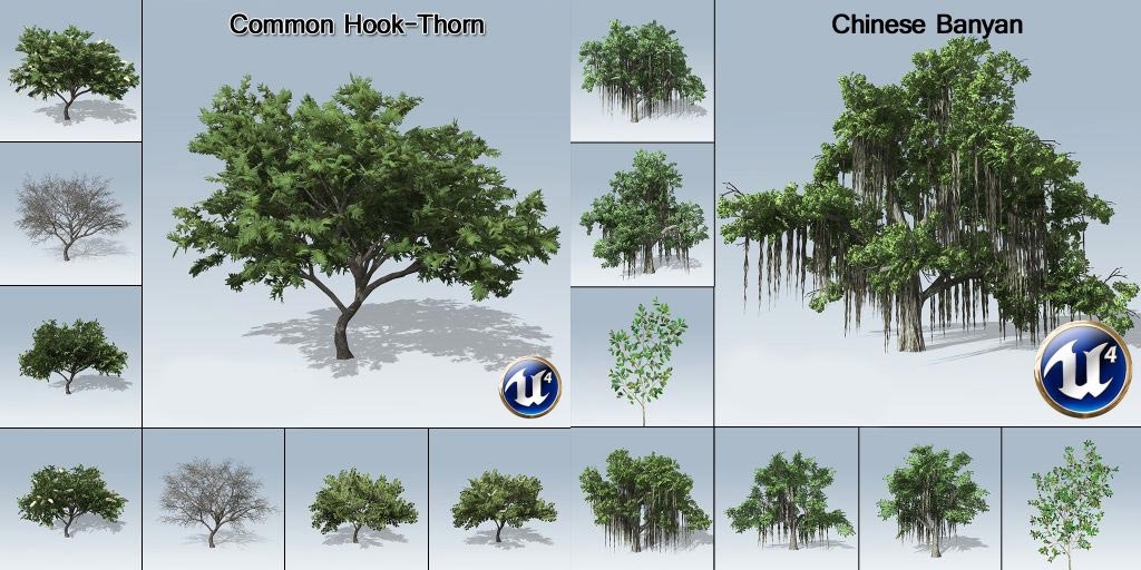 دانلود مدل سه بعدی درخت برای آنریل انجین