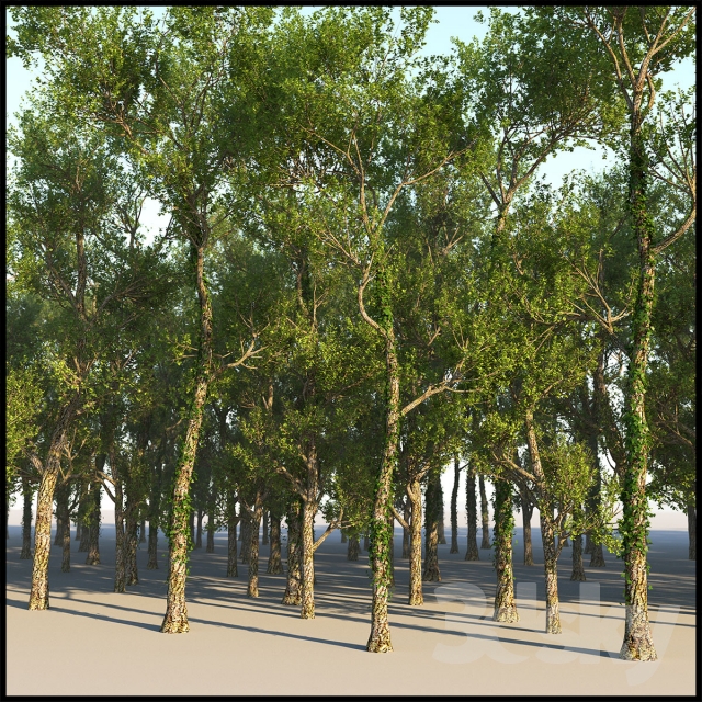 دانلود 60 مدل سه بعدی درخت - 4