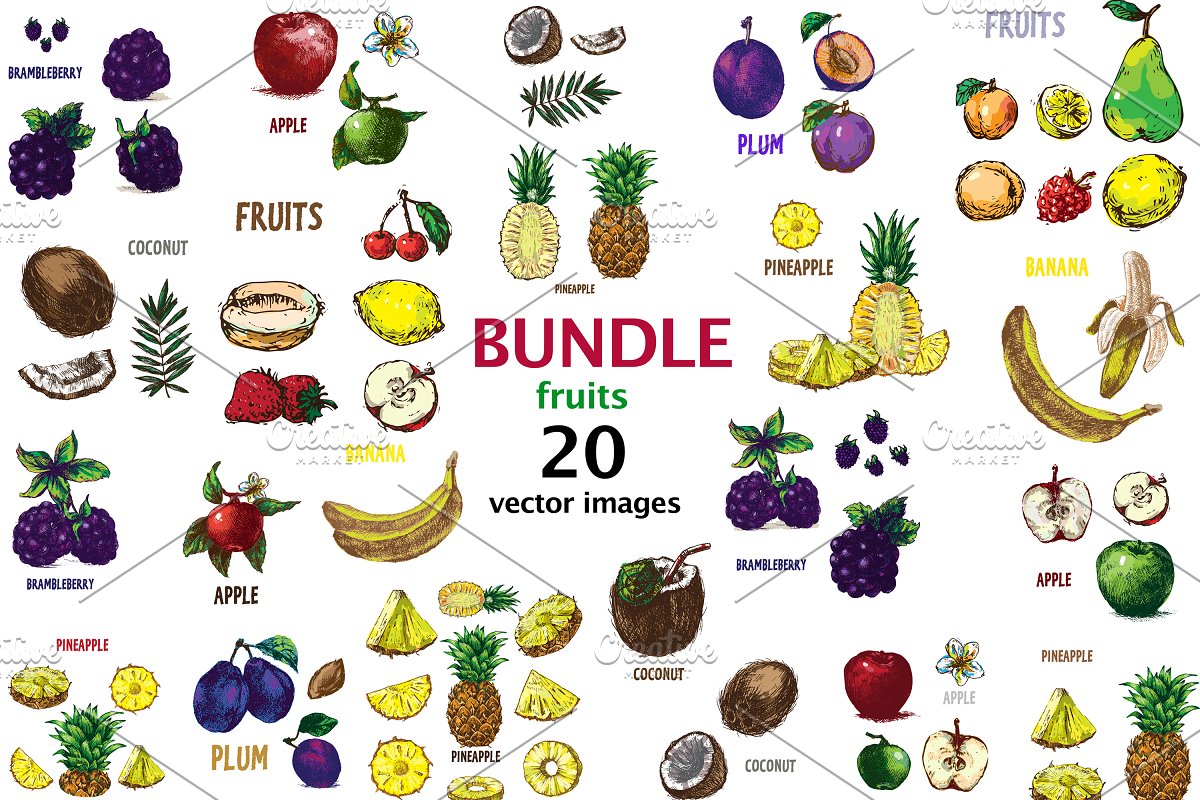 وکتور میوه و سبزیجات - 4
