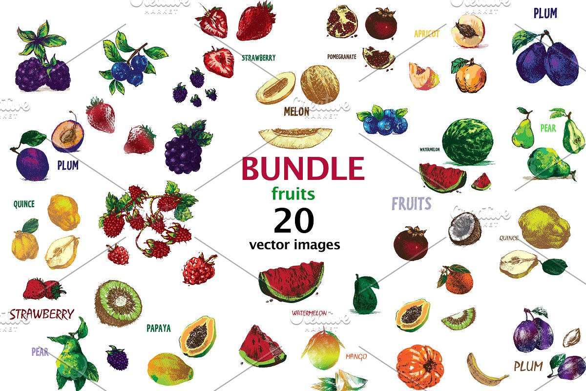 وکتور میوه و سبزیجات - 6